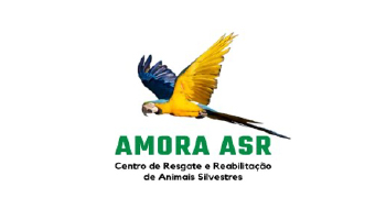 logo-4
